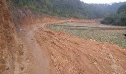 广西梧州藤县新闻爆料